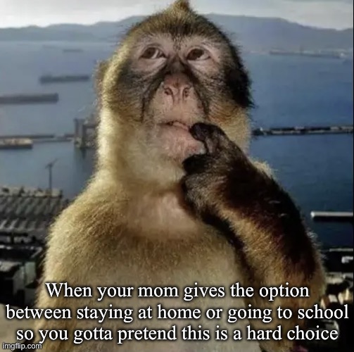 monkey thinking | When your mom gives the option between staying at home or going to school so you gotta pretend this is a hard choice | image tagged in monkey thinking | made w/ Imgflip meme maker