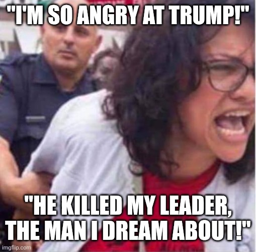 Traitor Rashida 'HAMAS' Tlaib | "I'M SO ANGRY AT TRUMP!"; "HE KILLED MY LEADER, THE MAN I DREAM ABOUT!" | image tagged in congresswoman and criminal rashida harbi tlaib | made w/ Imgflip meme maker