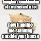wooden shoes | imagine a combination of a walrus and a bee; now imagine me standing outside your house | image tagged in wooden shoes | made w/ Imgflip meme maker