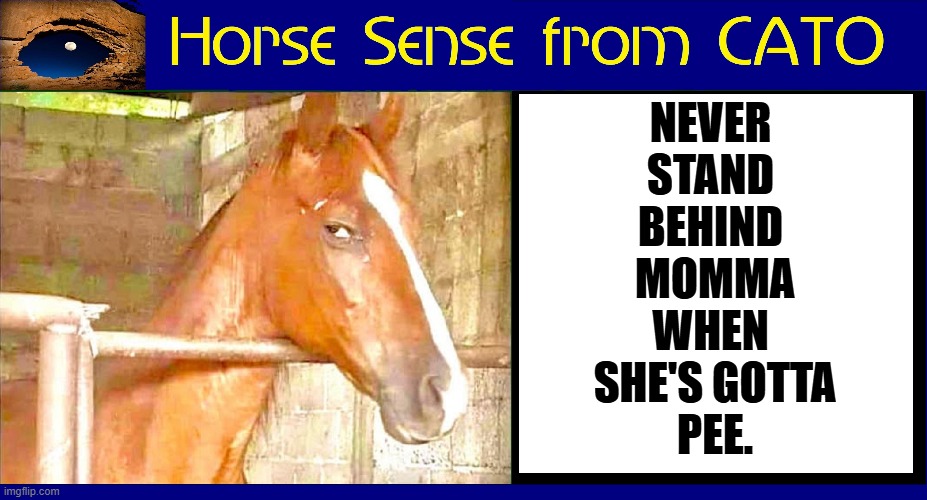 NEVER 
STAND 
BEHIND 
MOMMA
WHEN 
SHE'S GOTTA
PEE. | made w/ Imgflip meme maker