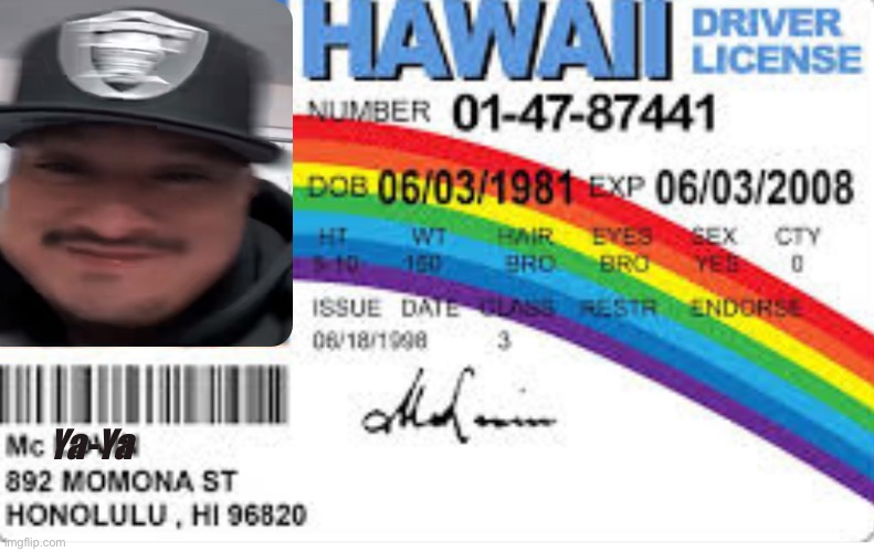 McYaYa | Ya-Ya | image tagged in mclovin id | made w/ Imgflip meme maker