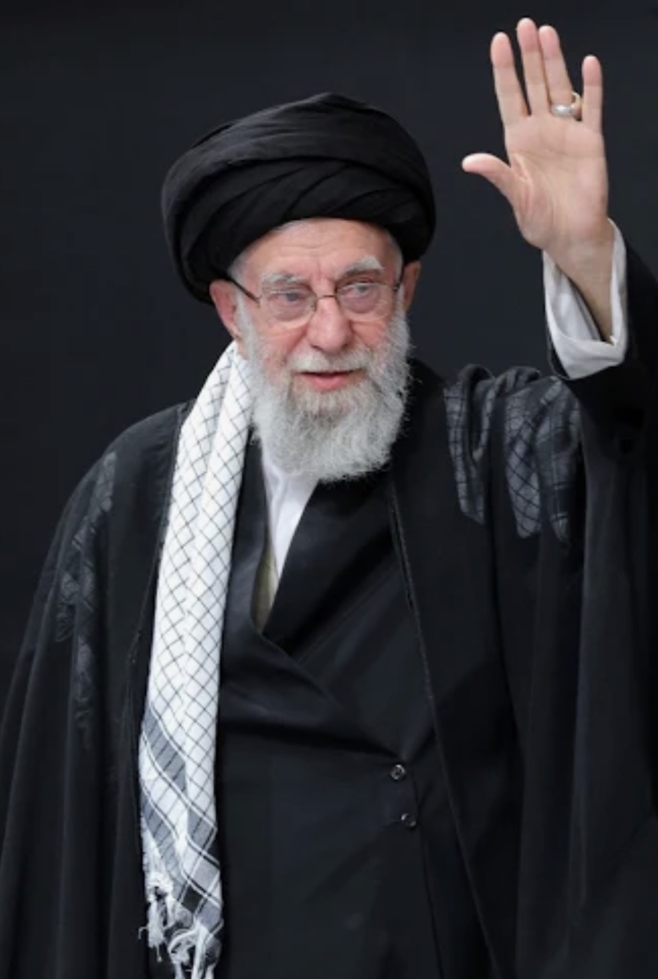 Owl Blank Meme Template