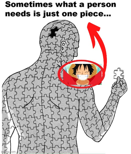 Sometimes what a person needs is just one piece | image tagged in sometimes what a person needs is just one piece,msmg,one piece | made w/ Imgflip meme maker