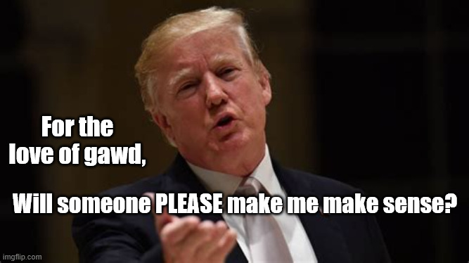 Make Trump make sense | For the love of gawd, Will someone PLEASE make me make sense? | image tagged in donald trump,crazy | made w/ Imgflip meme maker