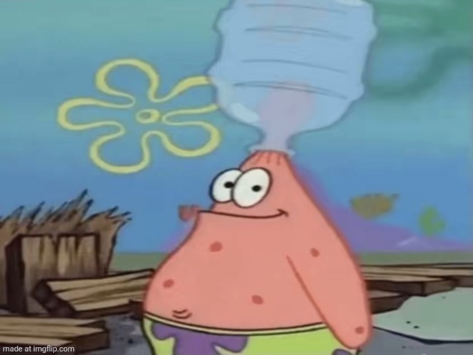 patrick water jug in head | image tagged in patrick water jug in head | made w/ Imgflip meme maker
