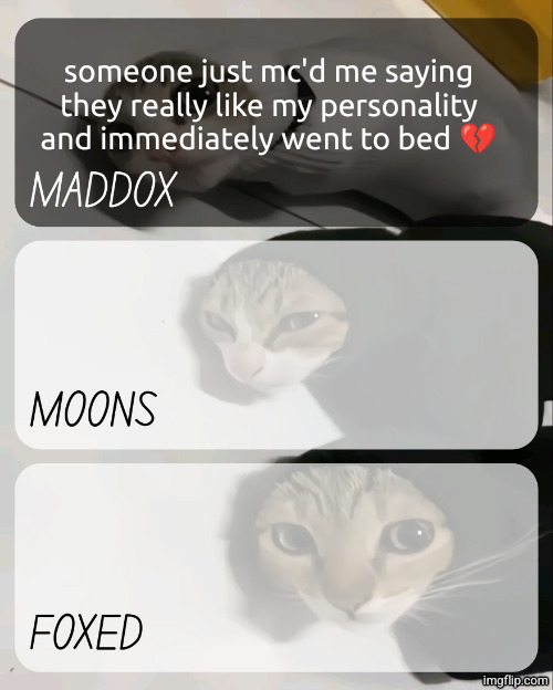 I WANNA KNOW WHAT THEY MEANT BY THAT :( | someone just mc'd me saying they really like my personality and immediately went to bed 💔 | image tagged in maddox moons n foxed kitty temp | made w/ Imgflip meme maker