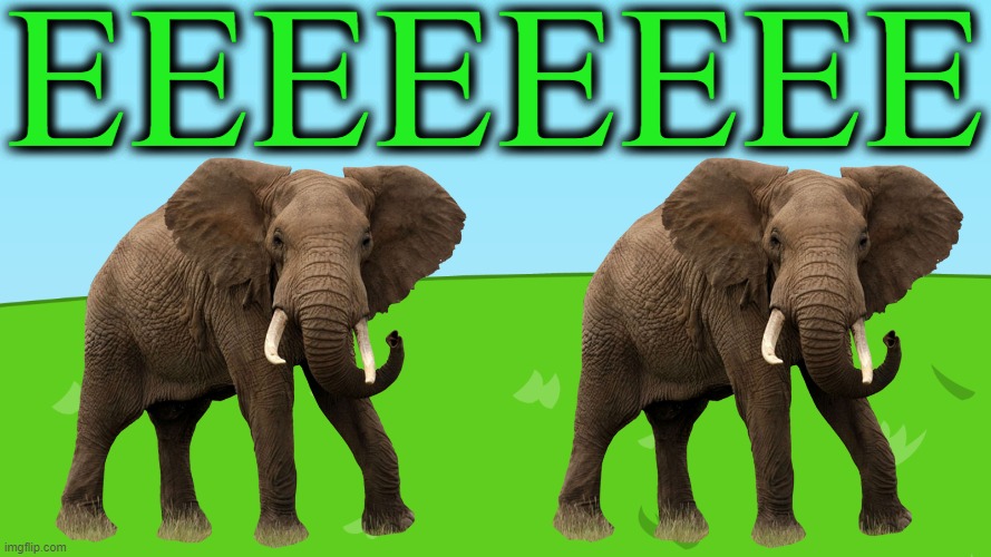 EEEEEEEE | EEEEEEEE | image tagged in background,memes,bfdi,elephant,e is for elephant,green | made w/ Imgflip meme maker