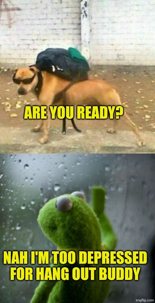ARE YOU READY? NAH I'M TOO DEPRESSED FOR HANG OUT BUDDY | image tagged in chrisjoines1,kermit window | made w/ Imgflip meme maker