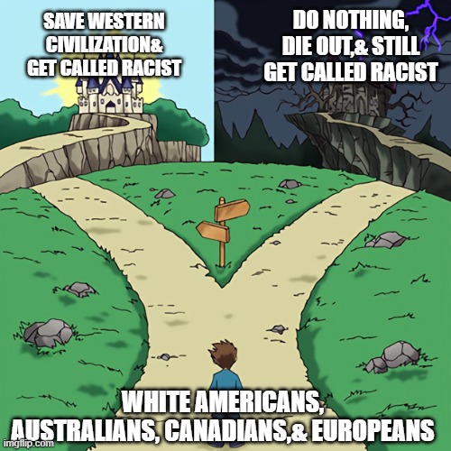 two castles | DO NOTHING, DIE OUT,& STILL GET CALLED RACIST; SAVE WESTERN CIVILIZATION& GET CALLED RACIST; WHITE AMERICANS, AUSTRALIANS, CANADIANS,& EUROPEANS | image tagged in two castles,americans,australians,canadians,european,racist | made w/ Imgflip meme maker