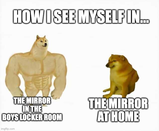 How I see myself | HOW I SEE MYSELF IN... THE MIRROR IN THE BOYS LOCKER ROOM; THE MIRROR AT HOME | image tagged in strong dog vs weak dog | made w/ Imgflip meme maker