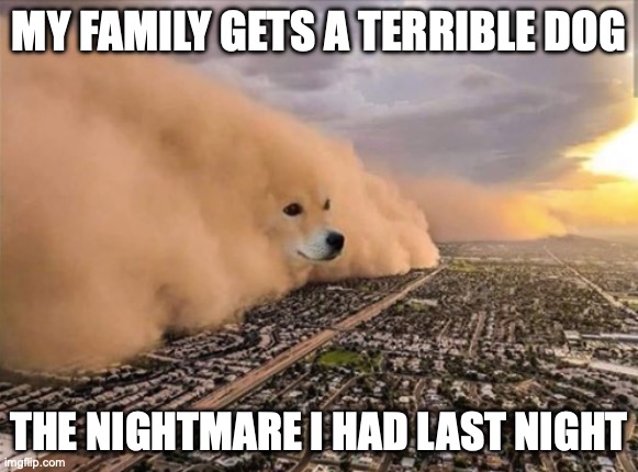 My nightmare | MY FAMILY GETS A TERRIBLE DOG; THE NIGHTMARE I HAD LAST NIGHT | image tagged in dust doge storm | made w/ Imgflip meme maker