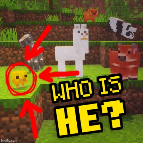 the minecraft account js made a good reaction image | image tagged in who is he | made w/ Imgflip meme maker