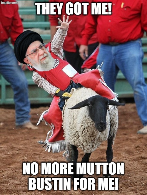 Mutton Busting | THEY GOT ME! NO MORE MUTTON BUSTIN FOR ME! | image tagged in mutton busting | made w/ Imgflip meme maker