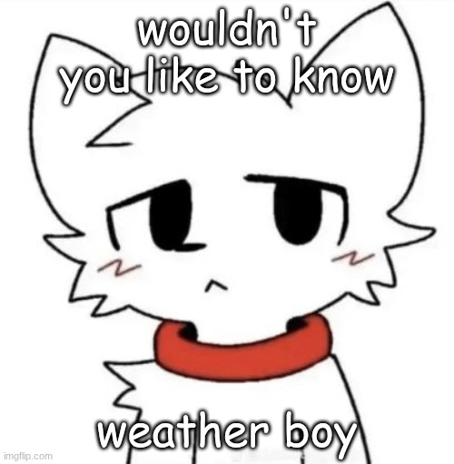 gangster shit | wouldn't you like to know; weather boy | image tagged in gangster shit | made w/ Imgflip meme maker