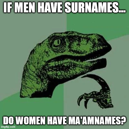 raptor asking questions | IF MEN HAVE SURNAMES... DO WOMEN HAVE MA'AMNAMES? | image tagged in raptor asking questions | made w/ Imgflip meme maker