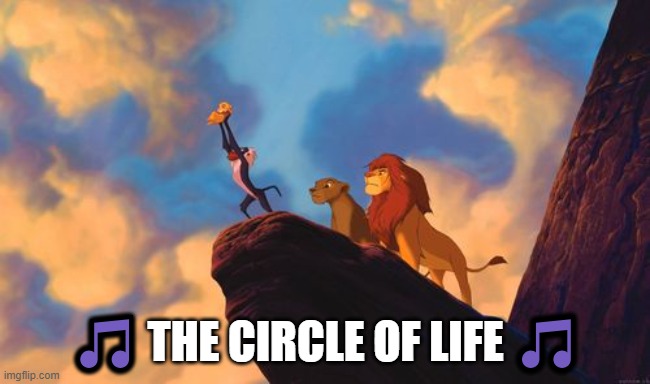 circle of life | ? THE CIRCLE OF LIFE ? | image tagged in circle of life | made w/ Imgflip meme maker