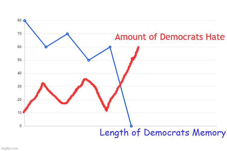 Downward Line Graph | Length of Democrats Memory  Amount of Democrats Hate | image tagged in downward line graph | made w/ Imgflip meme maker