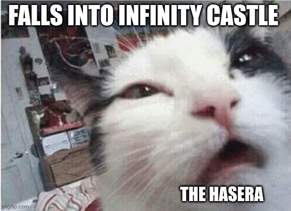 thay where shoked | FALLS INTO INFINITY CASTLE; THE HASERA | image tagged in cat waking up,demon slayer | made w/ Imgflip meme maker