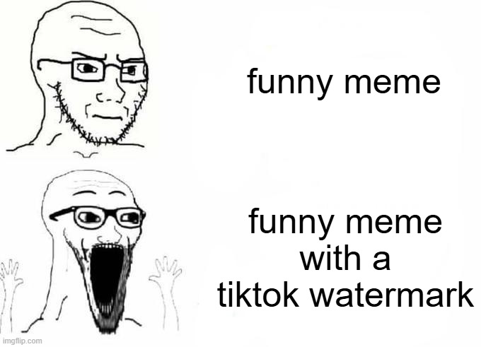 why is msmg like this | funny meme; funny meme with a tiktok watermark | image tagged in place japan template | made w/ Imgflip meme maker