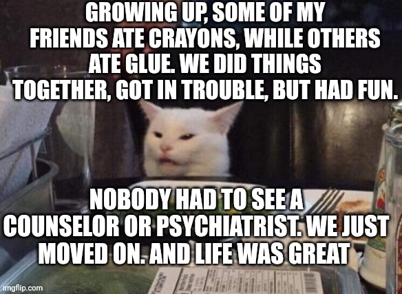 Smudge that darn cat | GROWING UP, SOME OF MY FRIENDS ATE CRAYONS, WHILE OTHERS ATE GLUE. WE DID THINGS TOGETHER, GOT IN TROUBLE, BUT HAD FUN. NOBODY HAD TO SEE A COUNSELOR OR PSYCHIATRIST. WE JUST MOVED ON. AND LIFE WAS GREAT | image tagged in smudge that darn cat | made w/ Imgflip meme maker