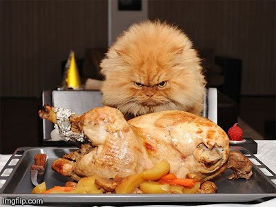 Cat looking at chicken | image tagged in cat looking at chicken | made w/ Imgflip meme maker