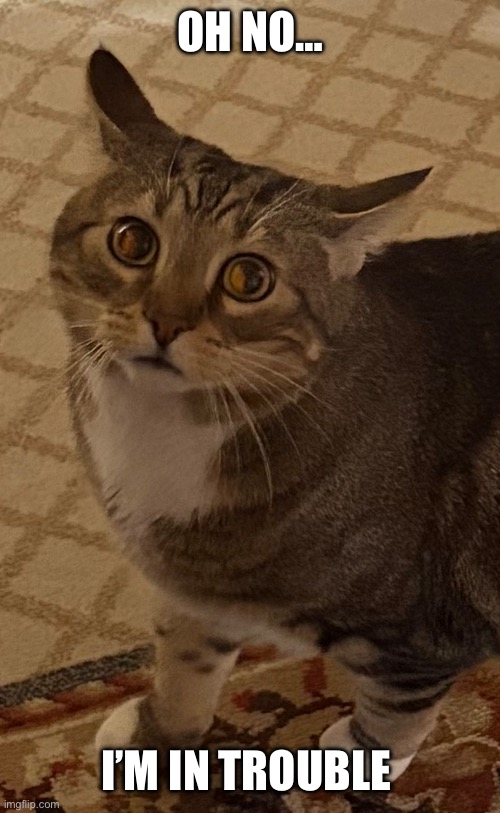 OH NO… I’M IN TROUBLE | made w/ Imgflip meme maker