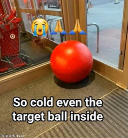 target ball | image tagged in target ball | made w/ Imgflip meme maker