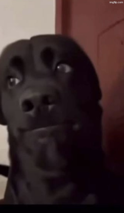 I guess bro | image tagged in i guess bro | made w/ Imgflip meme maker