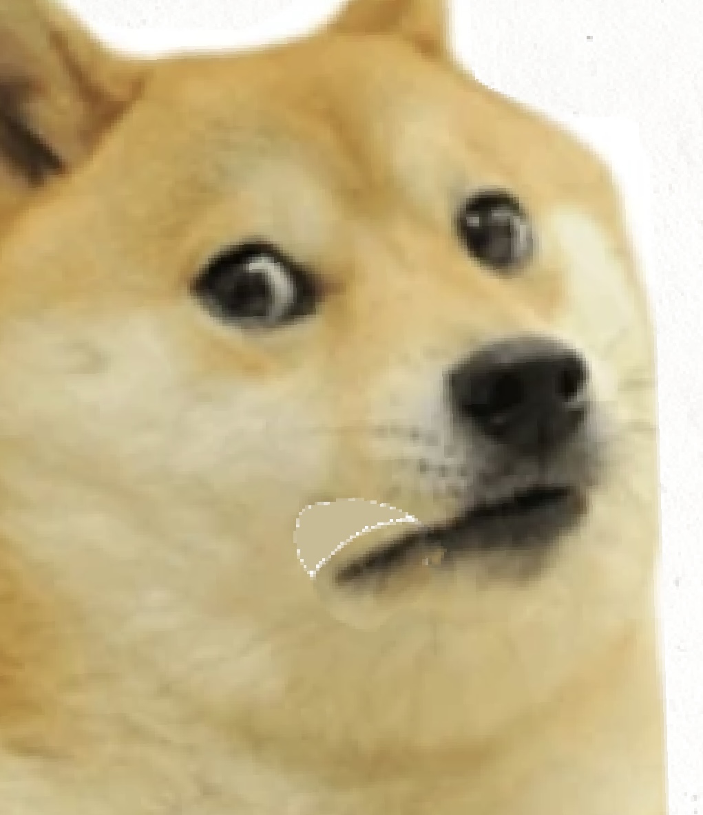 Doge disappointment :( Blank Meme Template