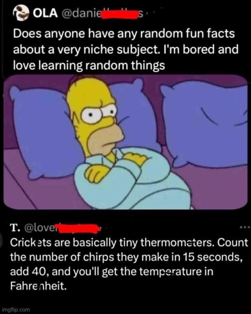 Farenheit | image tagged in temperature,crickets,facts | made w/ Imgflip meme maker