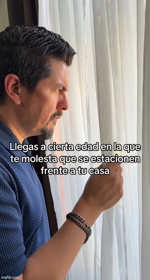 alfvbg.jpg