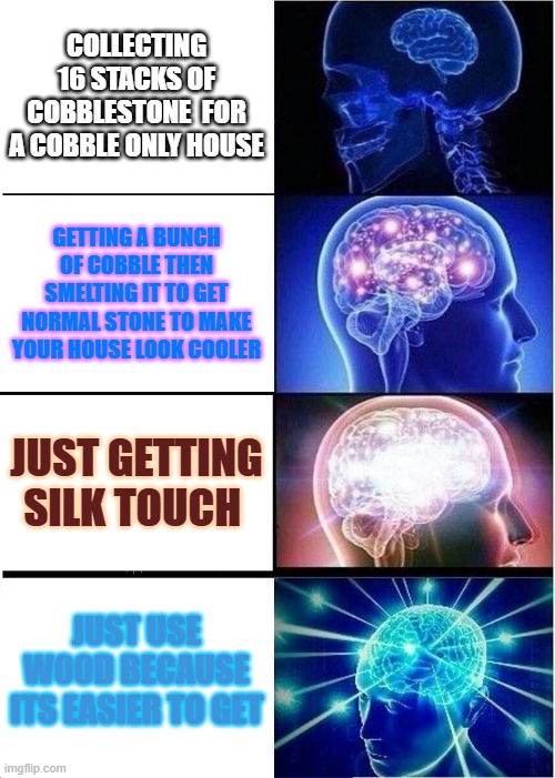 Minecraft meme | COLLECTING 16 STACKS OF COBBLESTONE  FOR A COBBLE ONLY HOUSE; GETTING A BUNCH OF COBBLE THEN SMELTING IT TO GET NORMAL STONE TO MAKE YOUR HOUSE LOOK COOLER; JUST GETTING SILK TOUCH; JUST USE WOOD BECAUSE ITS EASIER TO GET | image tagged in memes,expanding brain | made w/ Imgflip meme maker