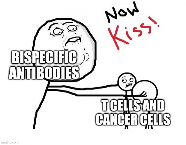 now kiss | BISPECIFIC ANTIBODIES; T CELLS AND CANCER CELLS | image tagged in now kiss | made w/ Imgflip meme maker
