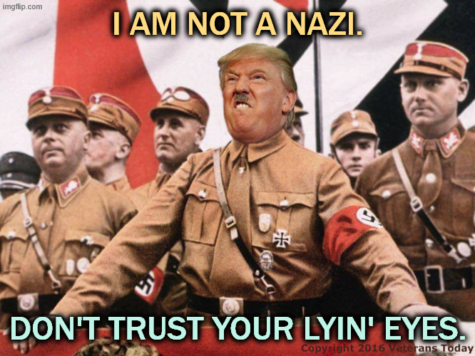Trump denies he's a Neo-Nazi, but he's comfortable with them. | I AM NOT A NAZI. DON'T TRUST YOUR LYIN' EYES. | image tagged in trump denies he's a neo-nazi but he's comfortable with them,trump,nazi,neo-nazi,fascist,racist | made w/ Imgflip meme maker