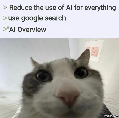 ai is why my preferred site for free xbox 360 games is going down at March 31th | Reduce the use of AI for everything; use google search; "AI Overview" | image tagged in cat looks inside,ai,google,sfw | made w/ Imgflip meme maker