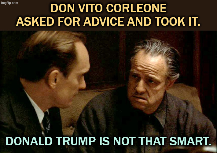 DON VITO CORLEONE ASKED FOR ADVICE AND TOOK IT. DONALD TRUMP IS NOT THAT SMART. | image tagged in trump,godfather,marlon brando,robert duvall,advice,smart | made w/ Imgflip meme maker