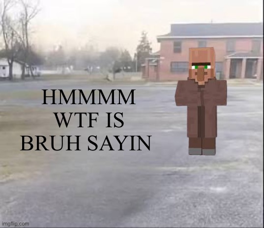 Angry hmmmm | HMMMM WTF IS BRUH SAYIN | image tagged in hmmm,minecraft | made w/ Imgflip meme maker