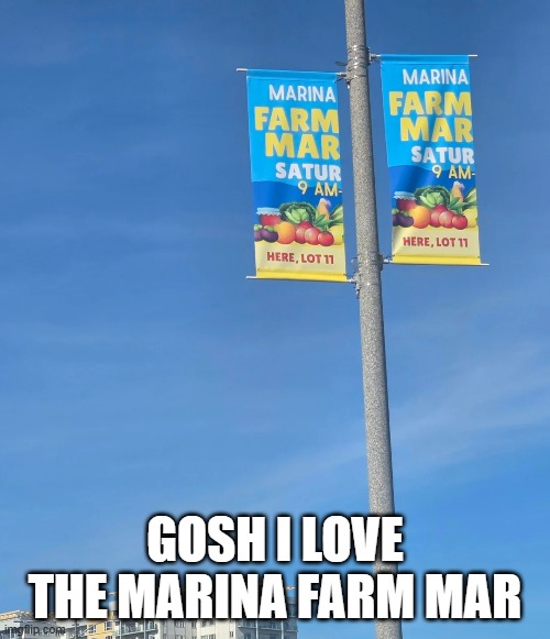 This Satur | GOSH I LOVE THE MARINA FARM MAR | image tagged in you had one job | made w/ Imgflip meme maker