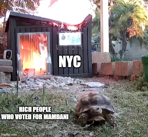 Turtle Starts Fire and Runs | NYC; RICH PEOPLE WHO VOTED FOR MAMDANI | image tagged in turtle starts fire and runs | made w/ Imgflip meme maker