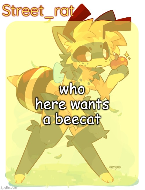he looks so soft | who here wants a beecat | image tagged in rats beecat temp | made w/ Imgflip meme maker