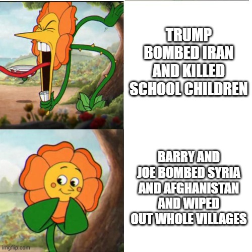 Ah Demonization | TRUMP BOMBED IRAN AND KILLED SCHOOL CHILDREN; BARRY AND JOE BOMBED SYRIA AND AFGHANISTAN AND WIPED OUT WHOLE VILLAGES | image tagged in cuphead flower | made w/ Imgflip meme maker
