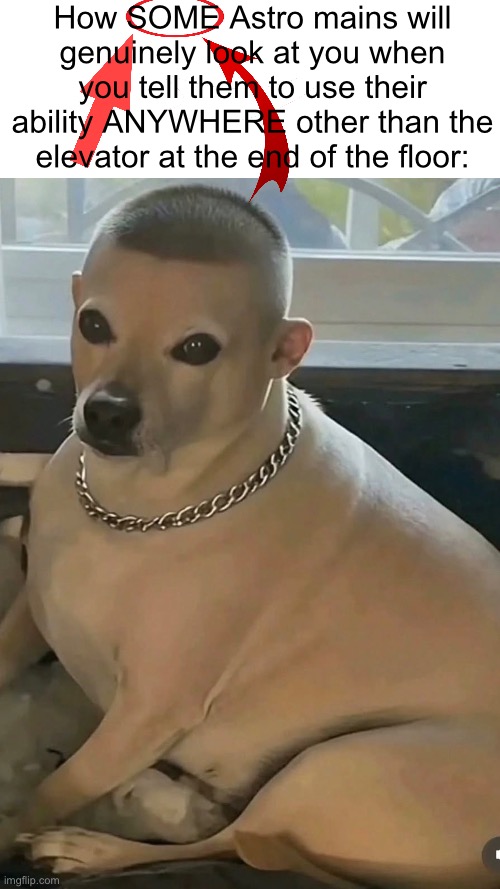 Like chud what | How SOME Astro mains will genuinely look at you when you tell them to use their ability ANYWHERE other than the elevator at the end of the floor: | image tagged in wawa | made w/ Imgflip meme maker