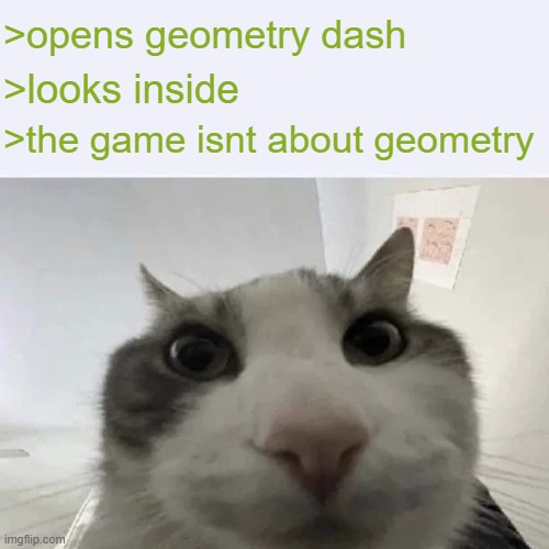 where's that damn geometry? | >opens geometry dash; >looks inside; >the game isnt about geometry | image tagged in green text cat | made w/ Imgflip meme maker