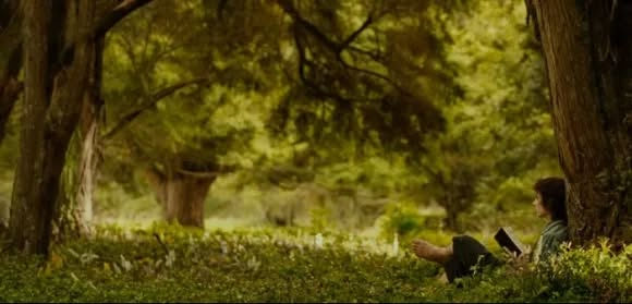 Frodo Reads Blank Meme Template