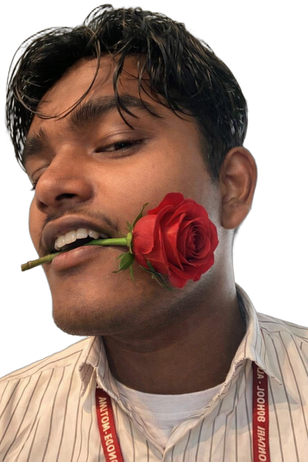 Nigu with rose Blank Meme Template