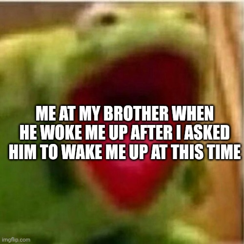 Roses are red, kermits are green, I have your address | ME AT MY BROTHER WHEN HE WOKE ME UP AFTER I ASKED HIM TO WAKE ME UP AT THIS TIME | image tagged in ahhhhhhhhhhhhh | made w/ Imgflip meme maker