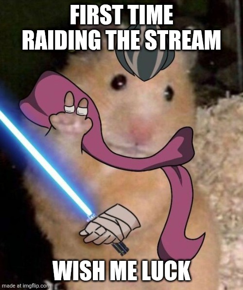 First time smoking weed! | FIRST TIME RAIDING THE STREAM; WISH ME LUCK | image tagged in gundham hamster | made w/ Imgflip meme maker