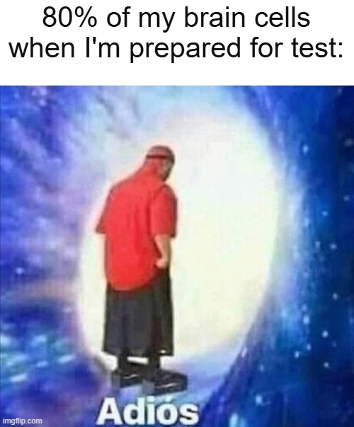 always happens even you already memorized all of it | 80% of my brain cells when I'm prepared for test: | image tagged in adios,memes,funny | made w/ Imgflip meme maker