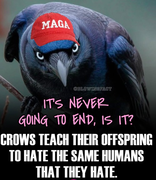 Tell me the offspring aren't tainted...please! | IT'S NEVER GOING TO END, IS IT? | image tagged in when will the hate end | made w/ Imgflip meme maker