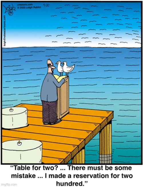 Rubes | image tagged in comics,rubes,seagulls,table for two,reservation,two hundred | made w/ Imgflip meme maker